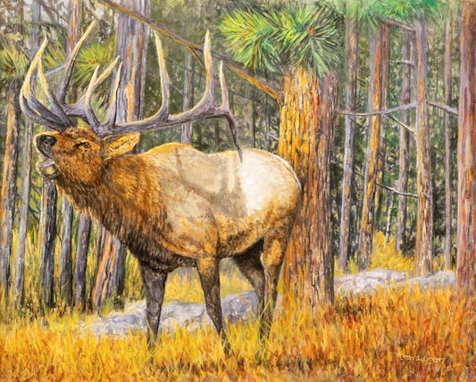 Otto Lawson - Bring It On 24" x 30"