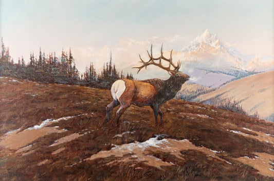 C.R. Cheek - Bull Elk 24" x 36"