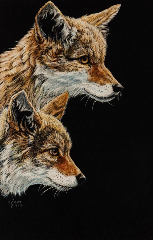 Mimi Grant - Coyotes 13" x 8"