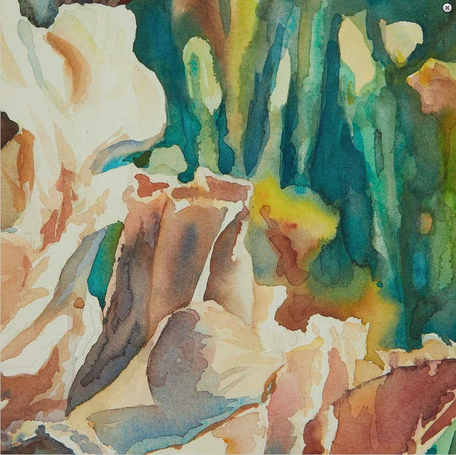 David Foley - Flower Piece, Long Garden 1984 26.5" x 19.5"