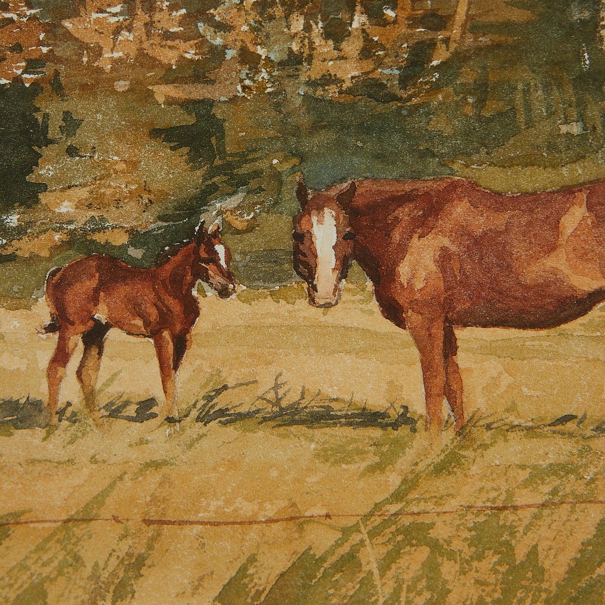 Bud Helbig - Horse & Foal 9.75" x 13'