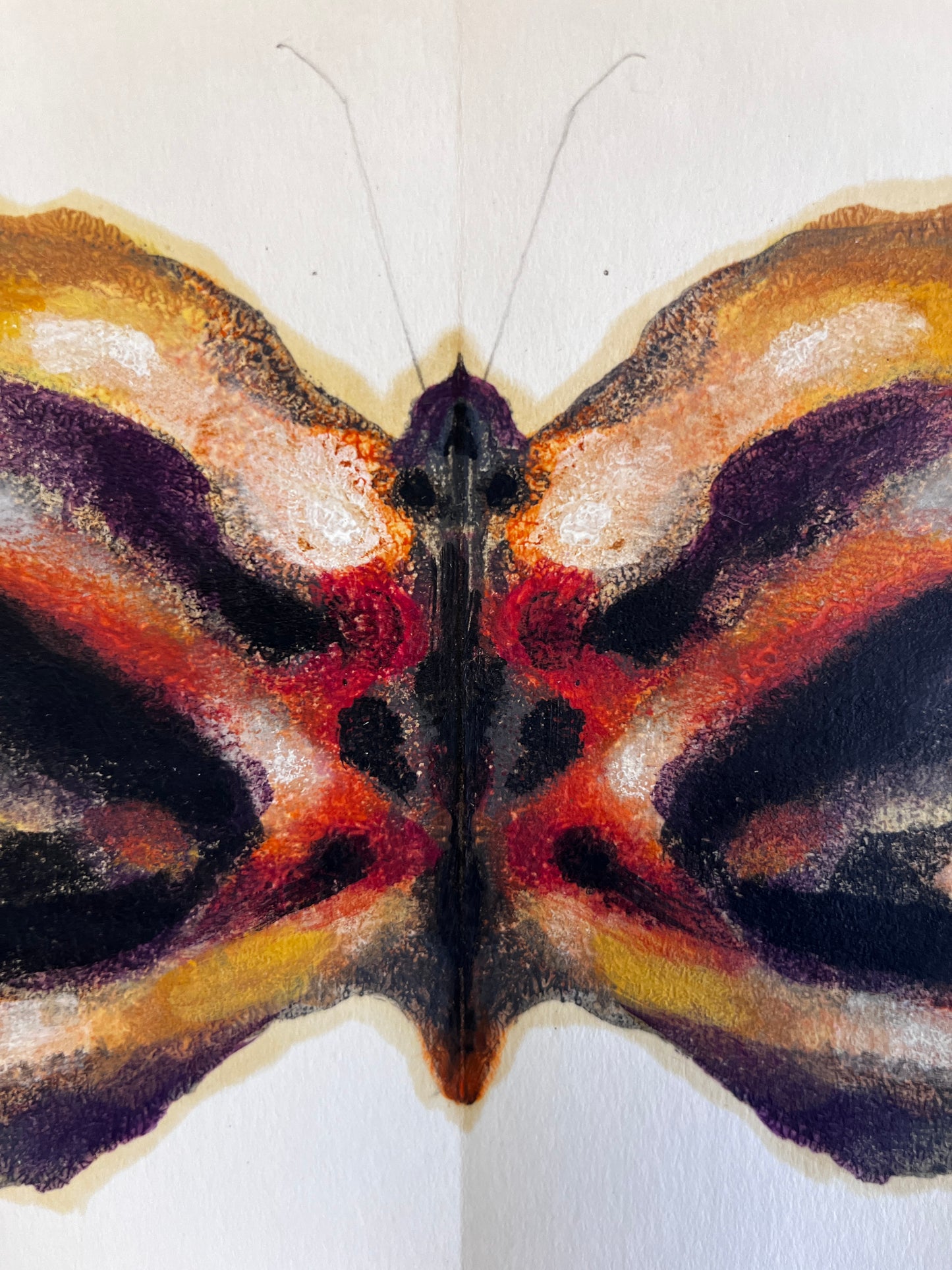 Albert Bierstadt - Butterfly 1896 7" x 10"