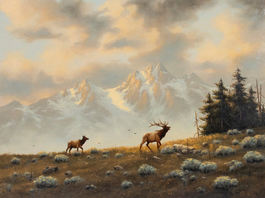 Heinie Hartwig - Mountain Elk 30" x 40"