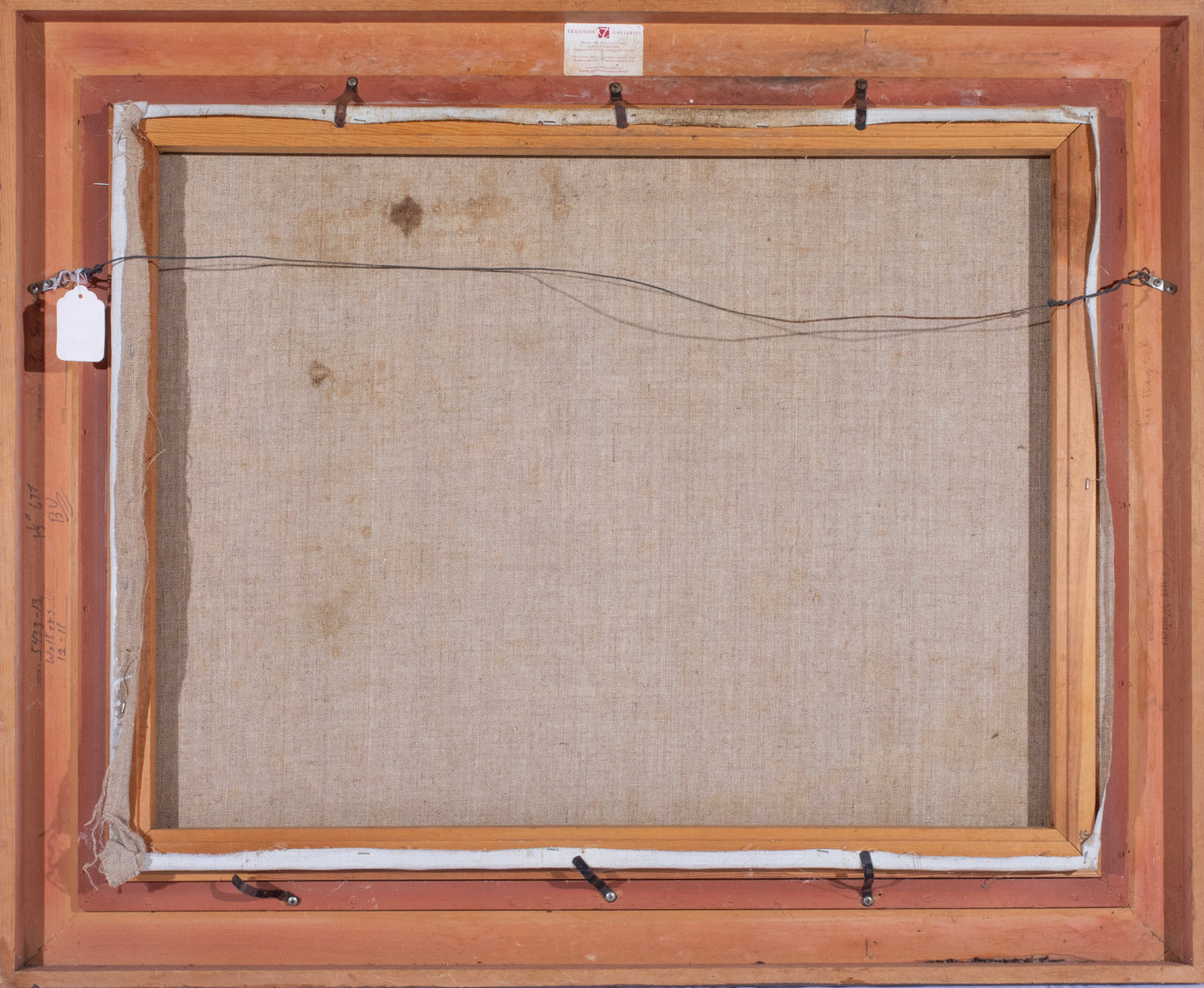 Curt Walters - Tree in a Canyon (Grand Canyon) 27" x 35"