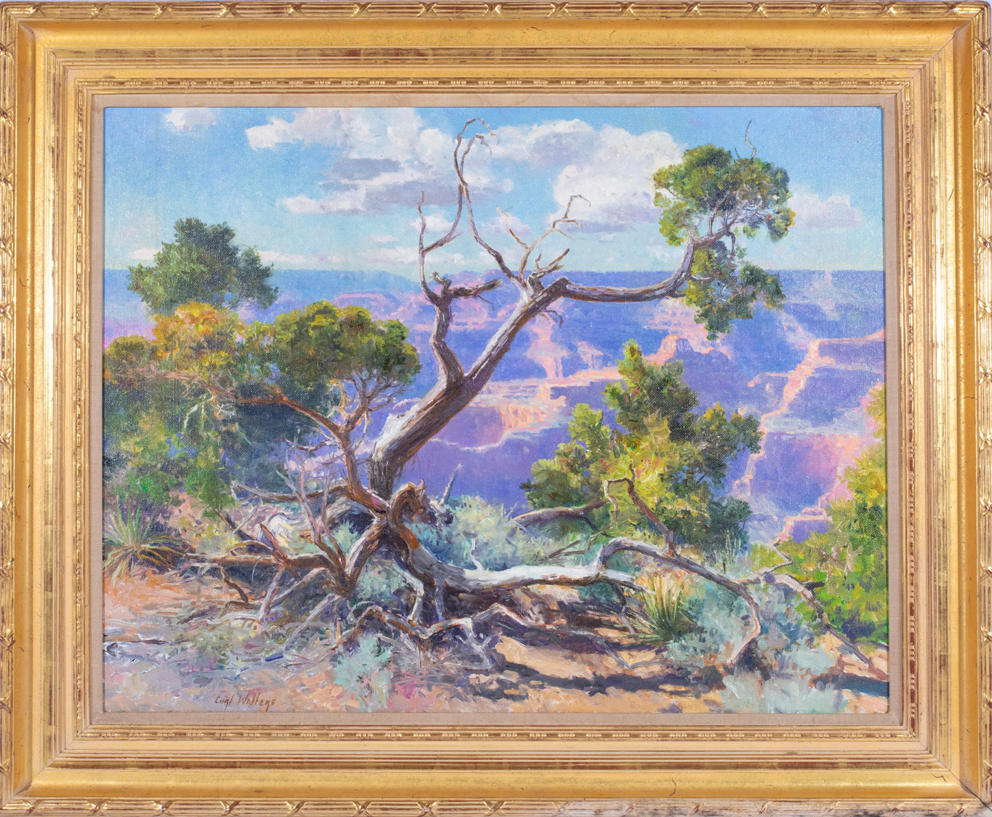 Curt Walters - Tree in a Canyon (Grand Canyon) 27" x 35"