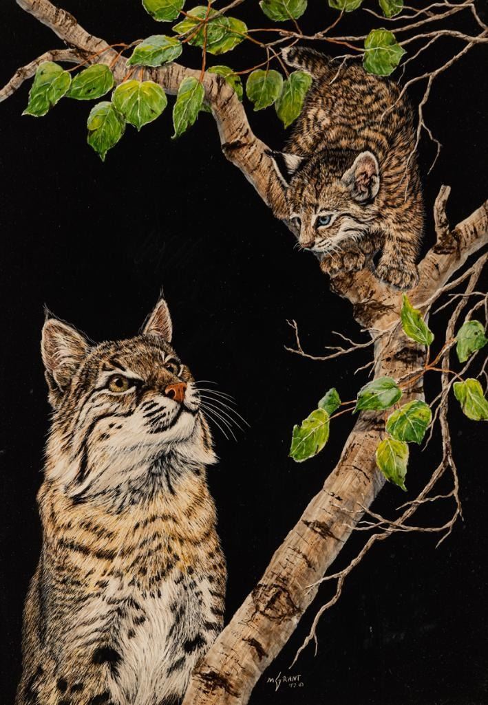 Mimi Grant - No Lesson Needed 1992 13.75” x 9.5”