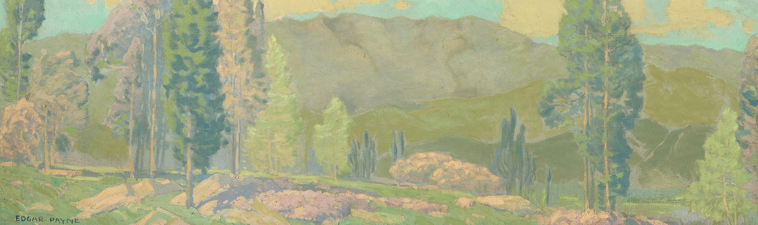 Bookstore in Provo specializing in collectible and rare books