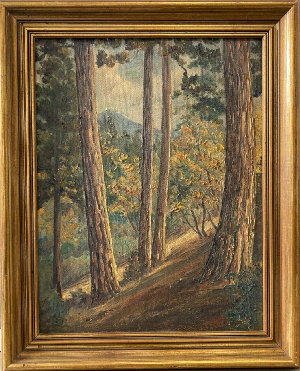 William J Peters - Pasadena Forest 16" x 20"