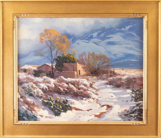Phil Starke - Rare Snow, Tucson 20" x 29"