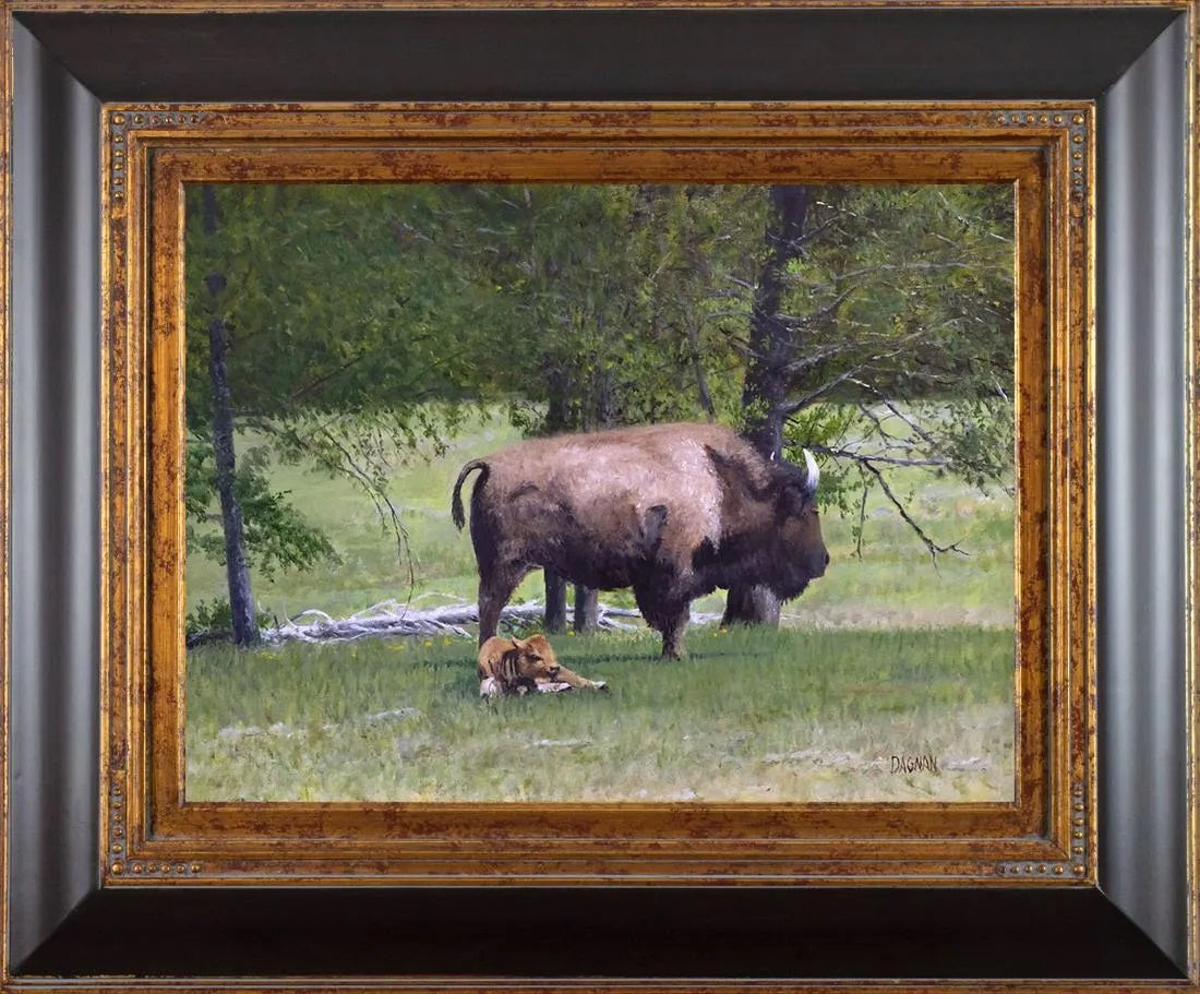 Gary Dagnan - Resting Calf 18" x 24"