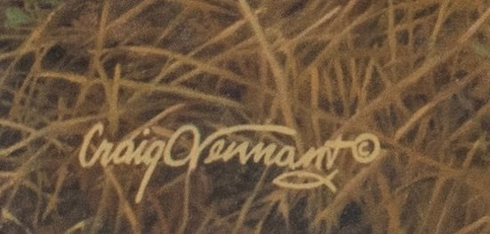 Craig Tennant - Rocky 30" x 40"