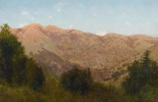 Charles Dorman Robinson - Sierra Woods 16" x 24.25"