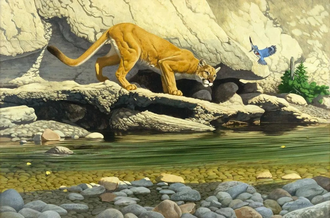 Don Rodell - Territorial Dispute 24" x 36"