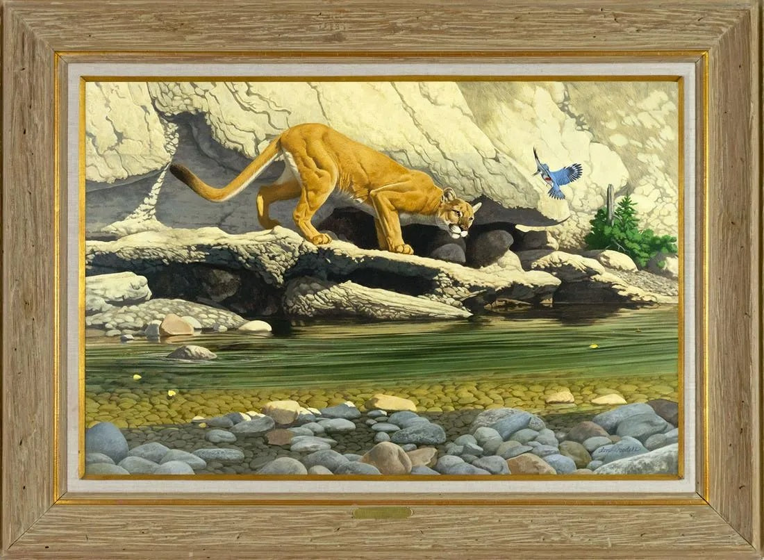 Don Rodell - Territorial Dispute 24" x 36"