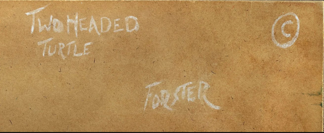 Paul Forster - Two-headed Turtle 30" x 24"