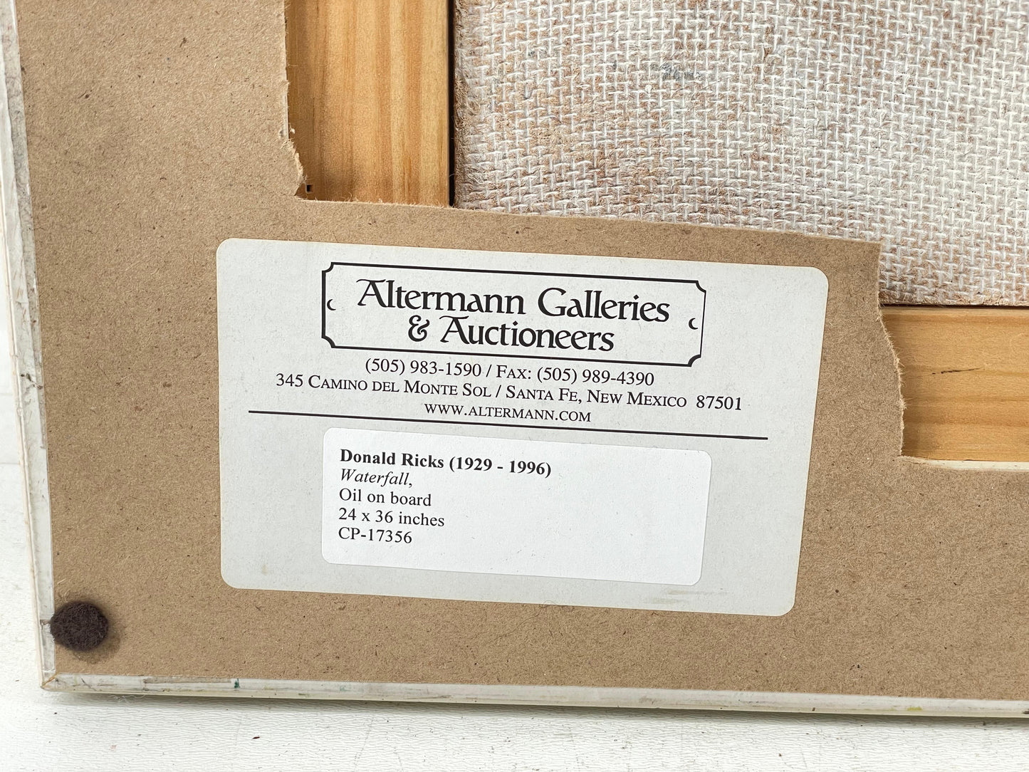 Don Frank Ricks - Waterfall 24" x 36"