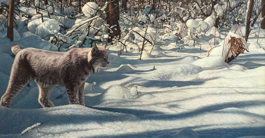 Richard Mravik - Winter Excursion 24" x 45"