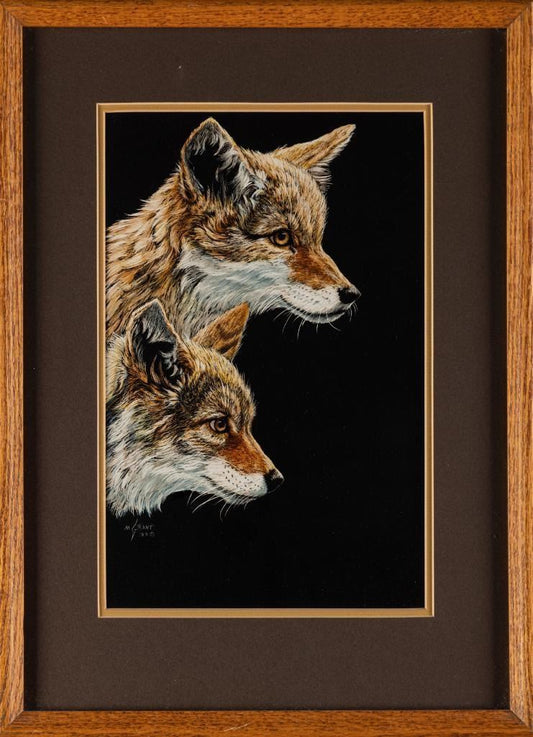 Mimi Grant - Coyotes 13" x 8"