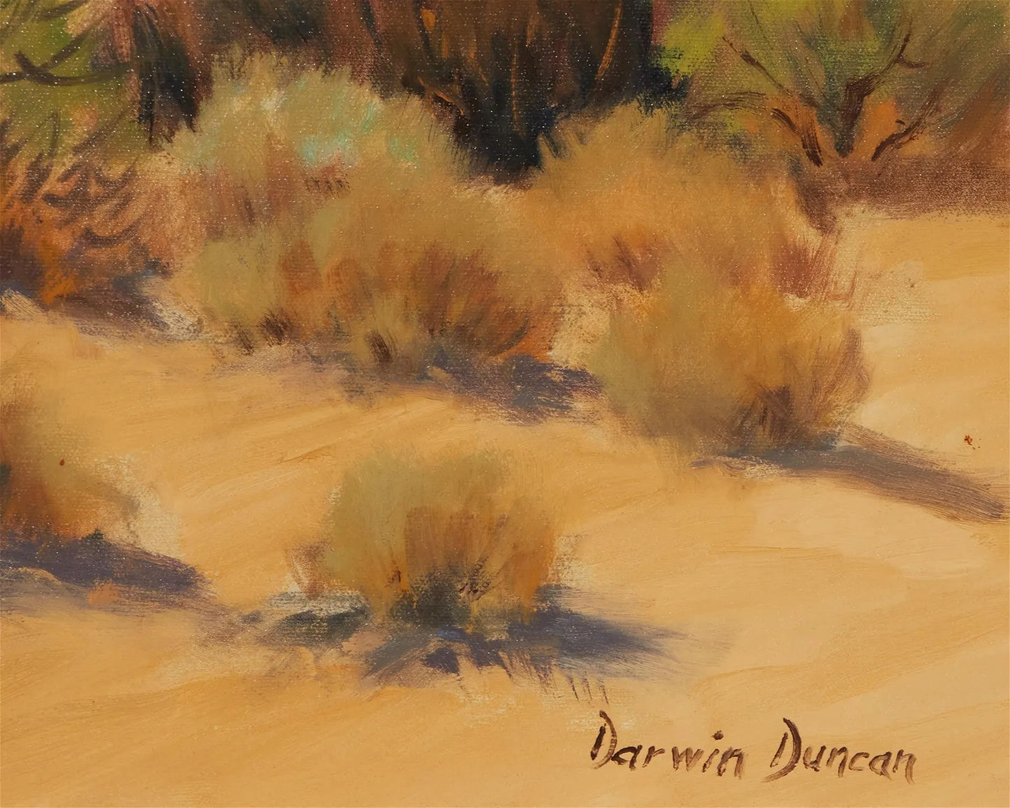 Darwin Duncan - Desert Landscape 24" x 48"