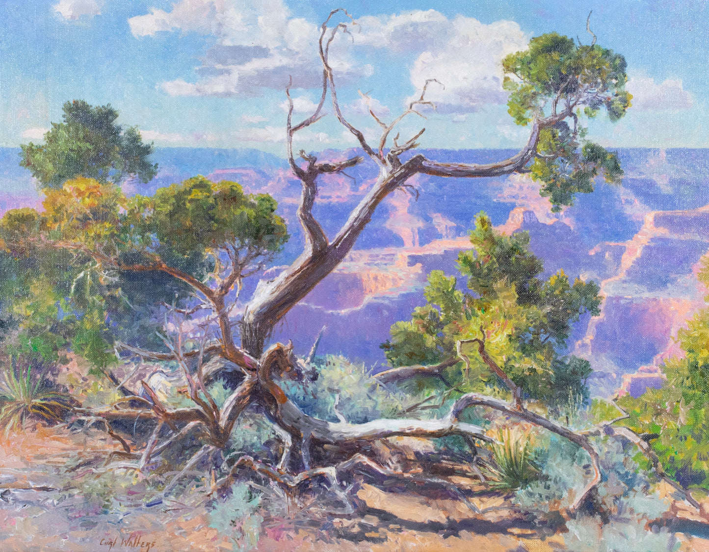 Curt Walters - Tree in a Canyon (Grand Canyon) 27" x 35"