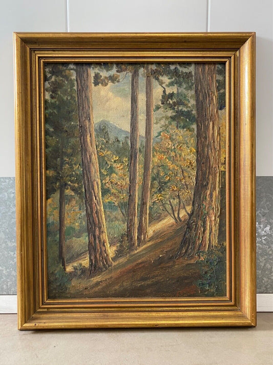 William J Peters - Pasadena Forest 16" x 20"