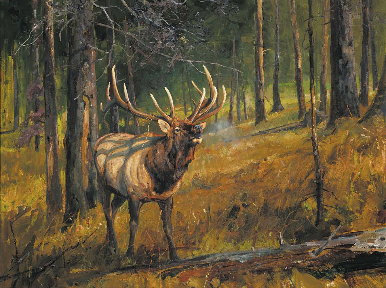 Luke Frazier - September Morning 36" x 48"
