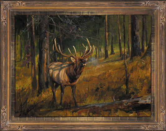 Luke Frazier - September Morning 36" x 48"