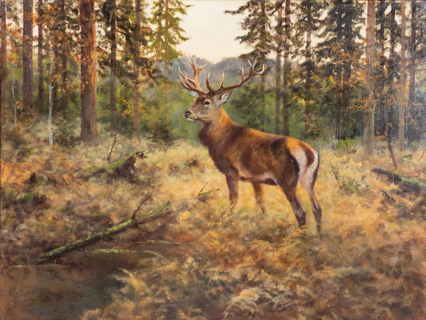 Arthur Fitzwilliam Tait - Mule Deer 1883 24" x 32"