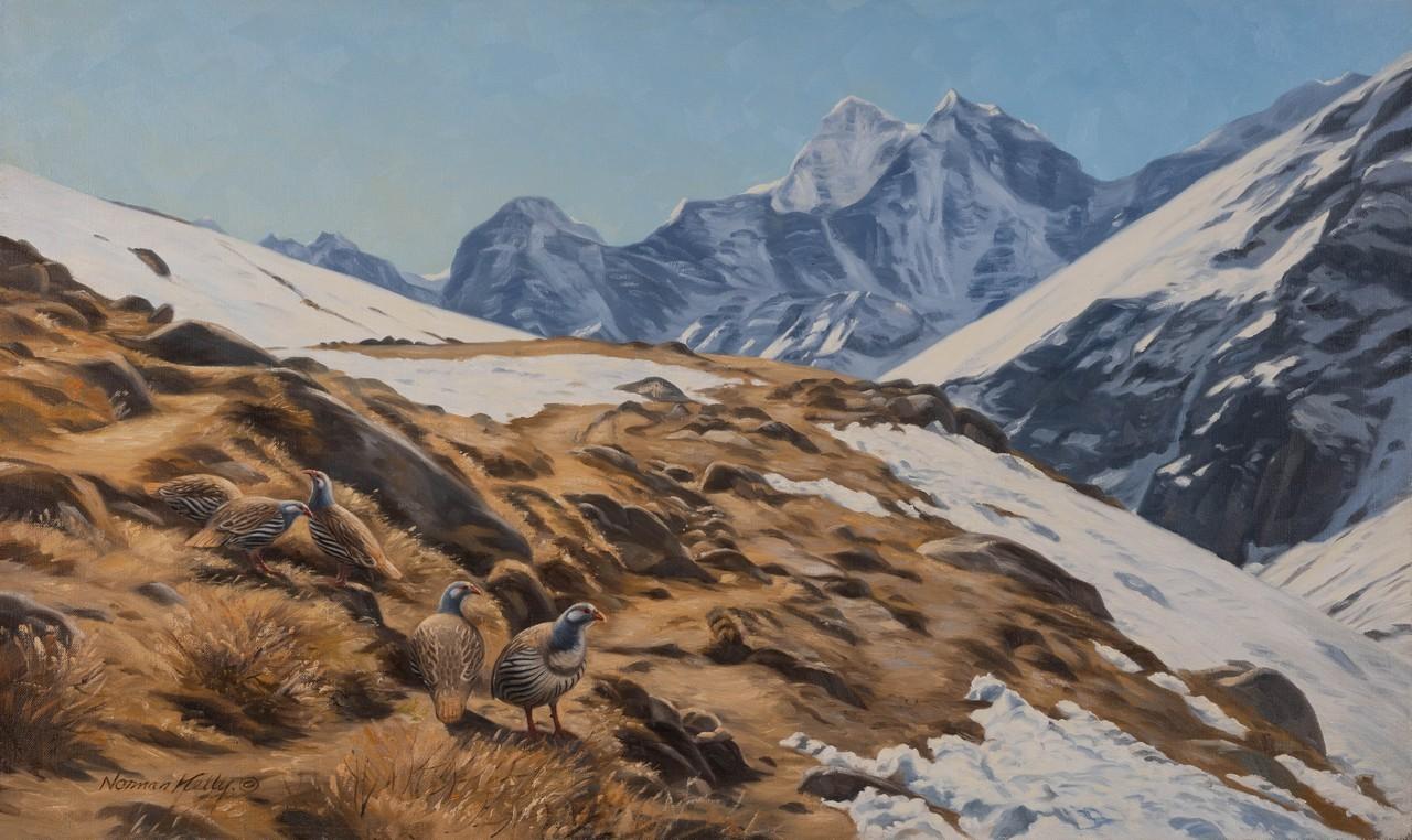 Norman Kelly - World of Snow Cock 24" x 40"